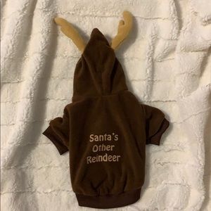 NWT, NWOT or Preowned Lot of 10 Adorable Doggie 🐶 Clothes